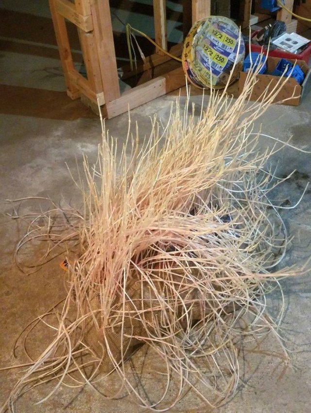 What Happens If... (22 pics)