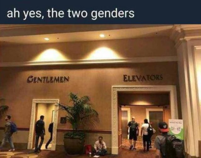 Random Funny Memes (136 pics)