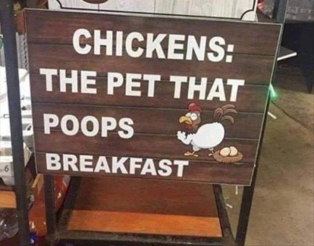 Random Funny Memes (136 pics)