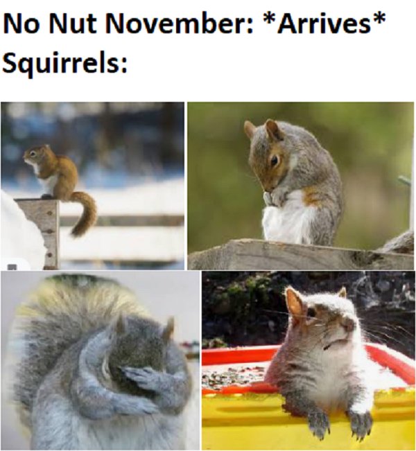 Hilarious Memes (26 pics)