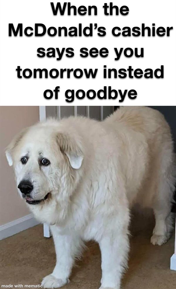 Great Memes (24 pics)