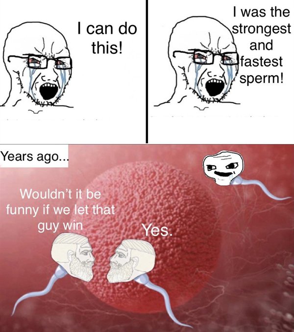 Great Memes (24 pics)