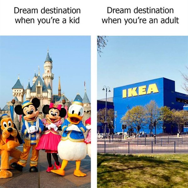 Hilarious Memes (26 pics)