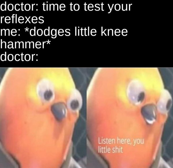 Great Memes (24 pics)