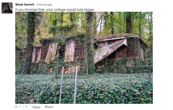 Sarcastic Comments (65 pics)