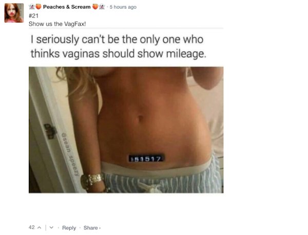 Sarcastic Comments (65 pics)