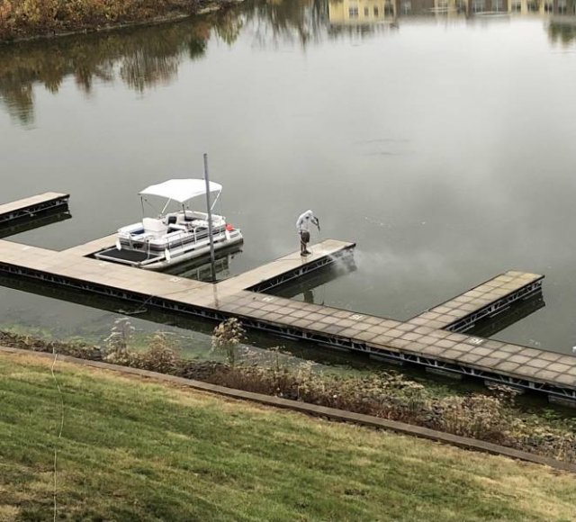 Power Washing: Before And After (32 pics)