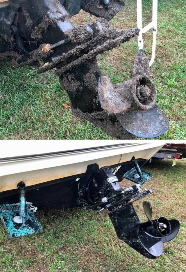 Power Washing: Before And After (32 pics)