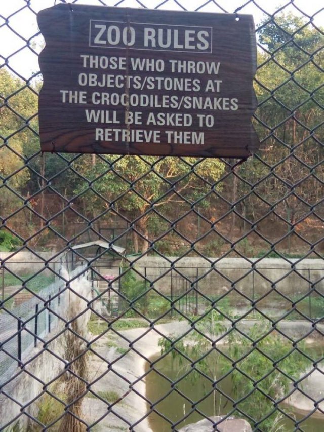 Acid Picdump. Part 1 (95 pics)