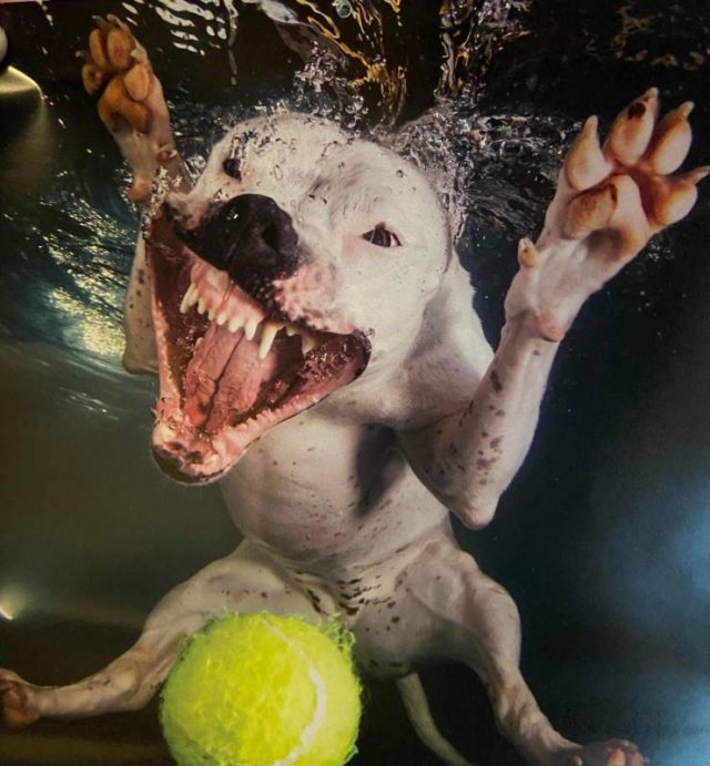 Acid Picdump. Part 1 (95 pics)