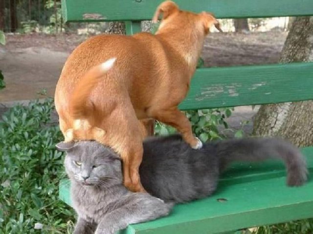 Acid Picdump. Part 1 (95 pics)
