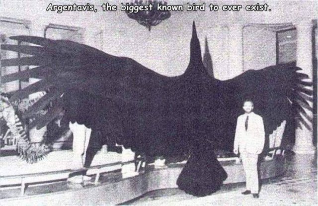 Acid Picdump. Part 1 (95 pics)