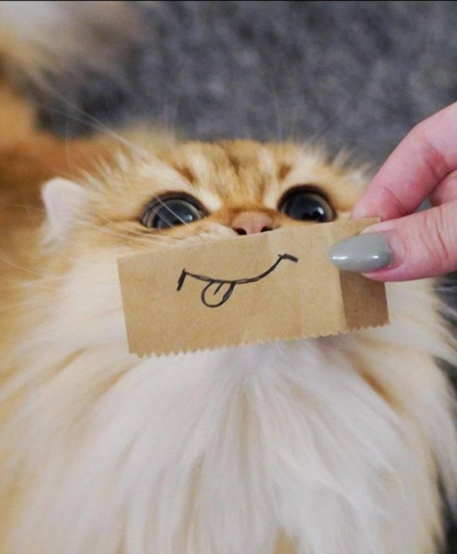 Acid Picdump. Part 1 (95 pics)