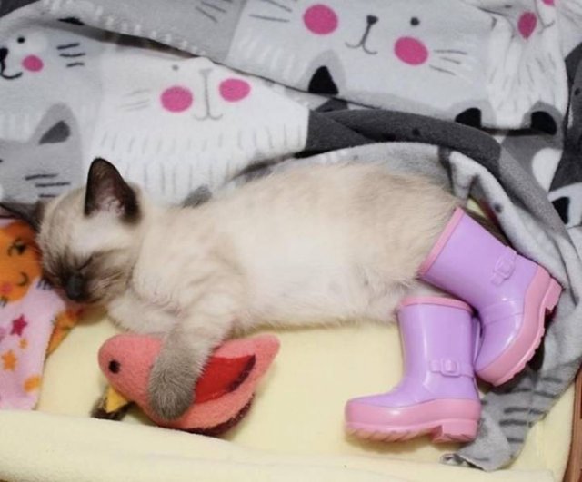 Acid Picdump. Part 1 (95 pics)