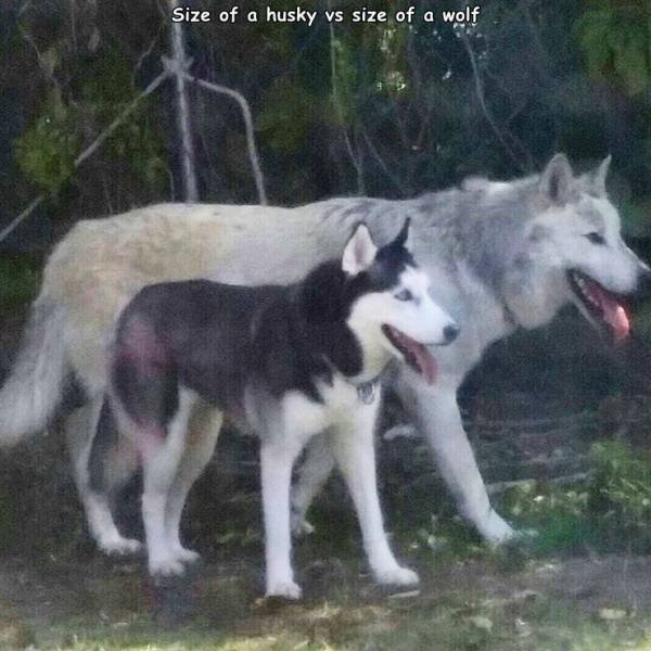 Acid Picdump. Part 1 (95 pics)