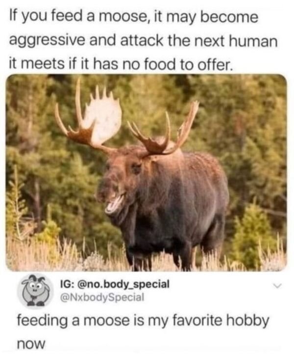 So True (34 pics)