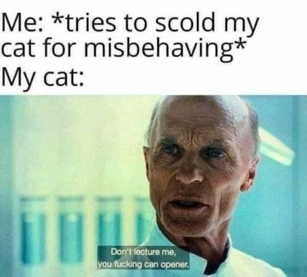 So True (34 pics)