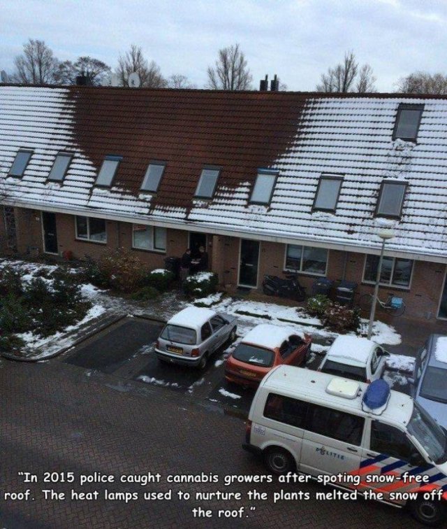 Acid Picdump. Part 1 (92 pics)