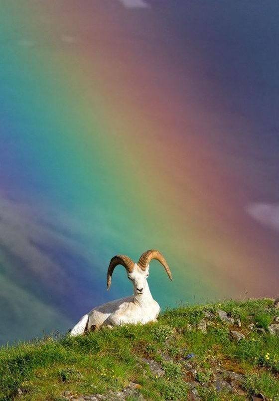 Acid Picdump. Part 1 (92 pics)