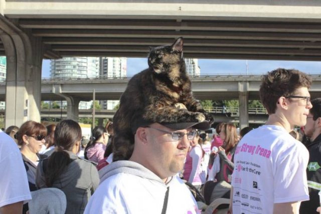 Acid Picdump. Part 1 (92 pics)