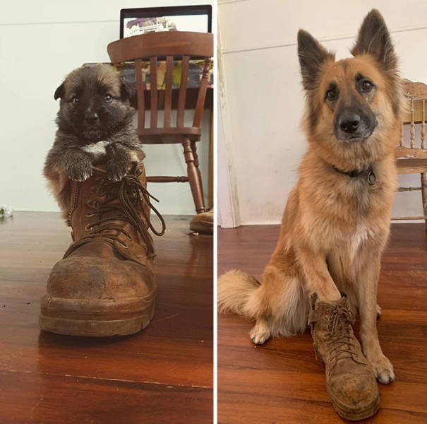 Comparison Matters (45 pics)