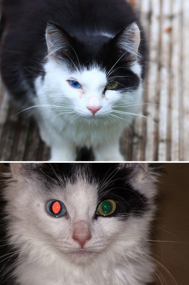 Comparison Matters (45 pics)