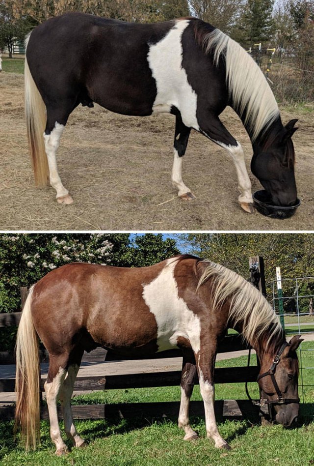 Comparison Matters (45 pics)