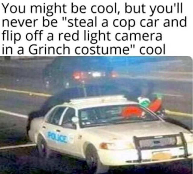 Police Humor (44 pics)