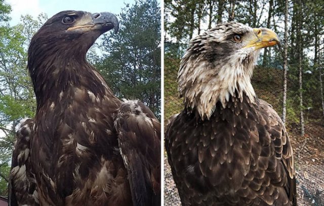 Comparison Matters (45 pics)