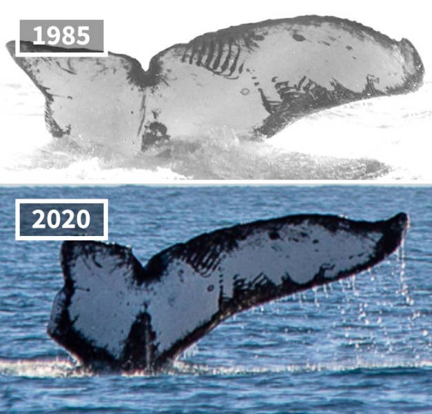 Comparison Matters (45 pics)
