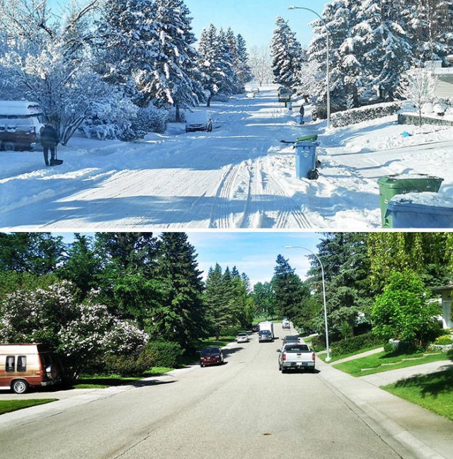 Comparison Matters (45 pics)