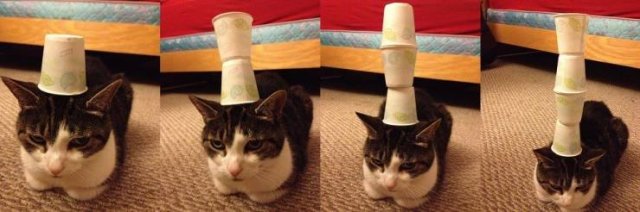 Acid Picdump. Part 2 (93 pics)