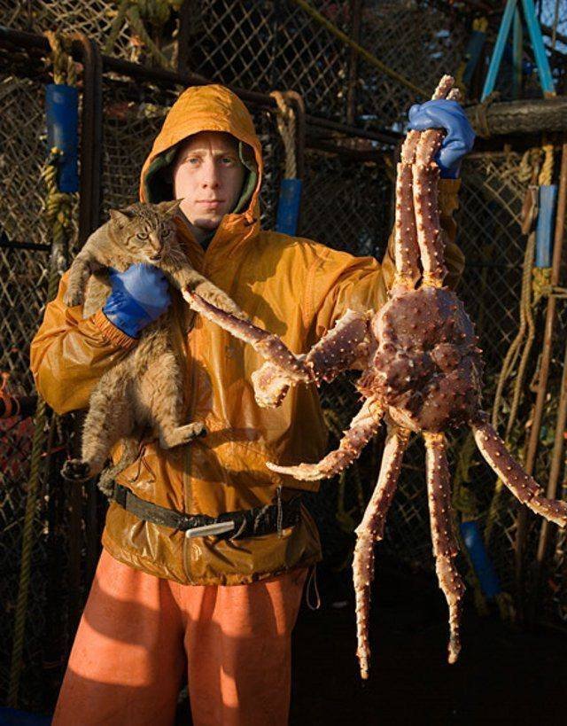 Acid Picdump. Part 2 (93 pics)
