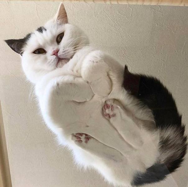 Acid Picdump. Part 1 (92 pics)