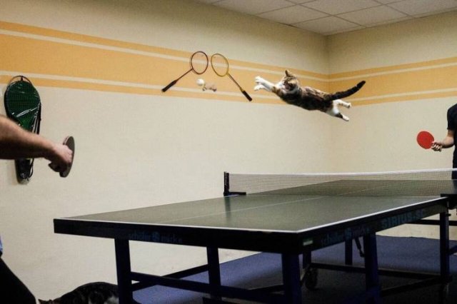 Acid Picdump. Part 1 (92 pics)