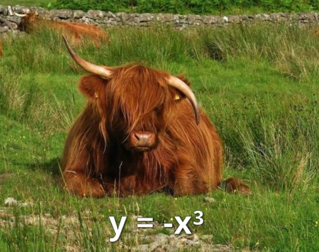 Math Jokes (29 pics)