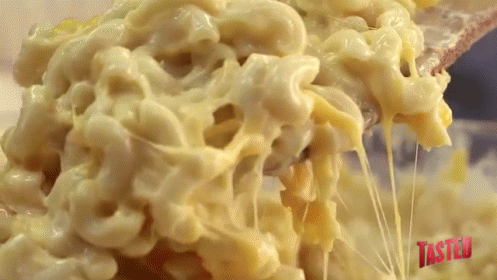 The Most Popular Thanksgiving Dishes In Every American State (11 gifs) The Most Popular Thanksgiving Dishes In Every American State (11 gifs)