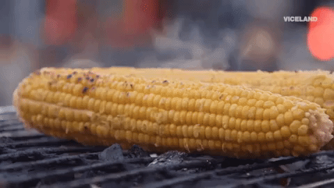 The Most Popular Thanksgiving Dishes In Every American State (11 gifs) The Most Popular Thanksgiving Dishes In Every American State (11 gifs)