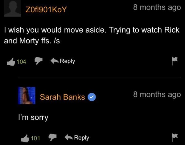 Pornhub Comments (35 pics)