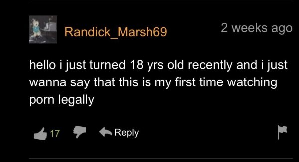 Pornhub Comments (35 pics)