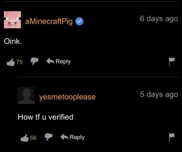 Pornhub Comments (35 pics)