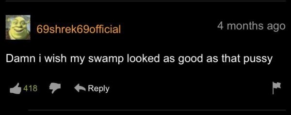 Pornhub Comments (35 pics)