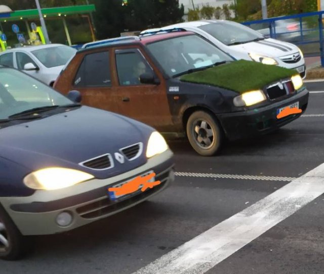 Almost Nailed It (51 pics)