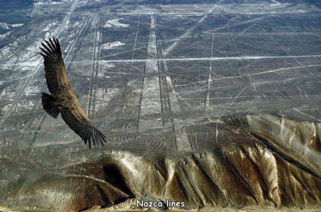 Acid Picdump. Part 1 (92 pics)