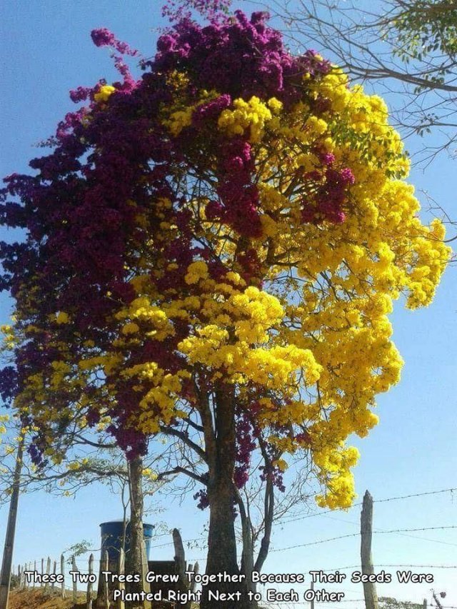 Acid Picdump. Part 1 (92 pics)