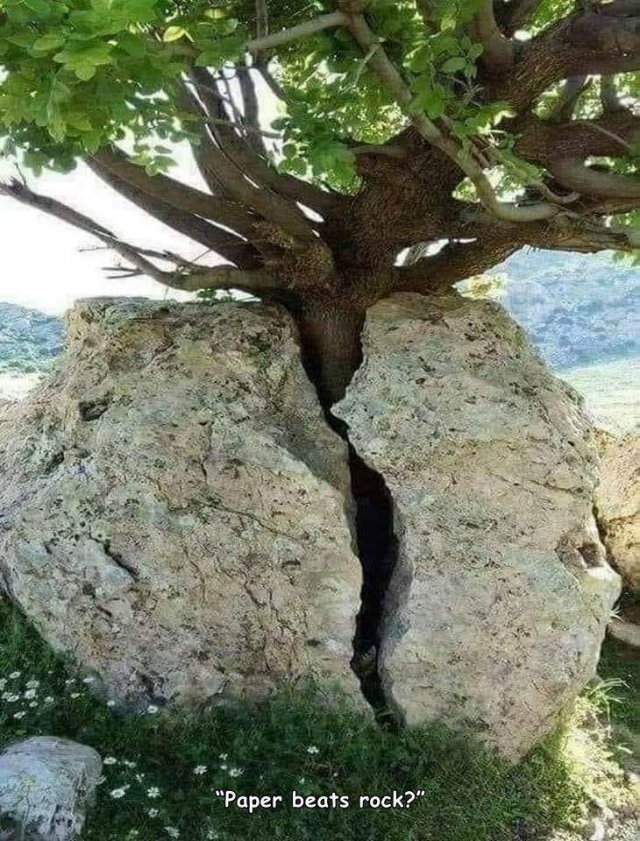 Acid Picdump. Part 1 (92 pics)