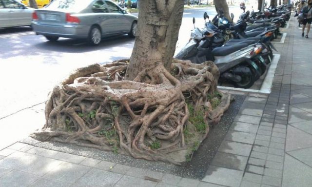 Acid Picdump. Part 1 (92 pics)