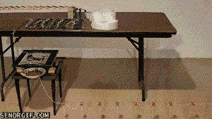 Acid Gifdump, November 11 (25 gifs)