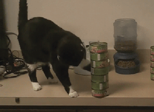 Acid Gifdump, November 11 (25 gifs)