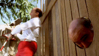 Acid Gifdump, November 11 (25 gifs)